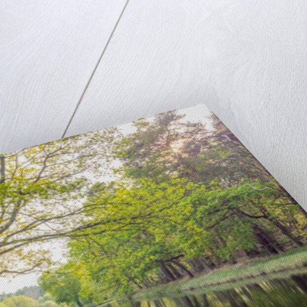 Canal on a spring day by Assaf Frank